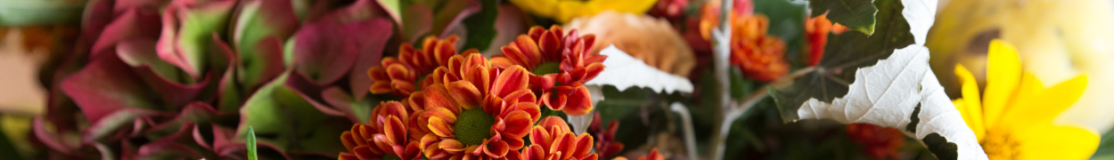 Same day flower delivery Toronto – Toronto flowers gifts