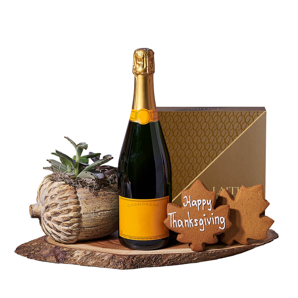 Thanksgiving Champagne &amp; Succulent Gift, sparkling wine gift, sparkling wine, champagne gift, champagne, plant gift, plant, thanksgiving gift, thanksgiving