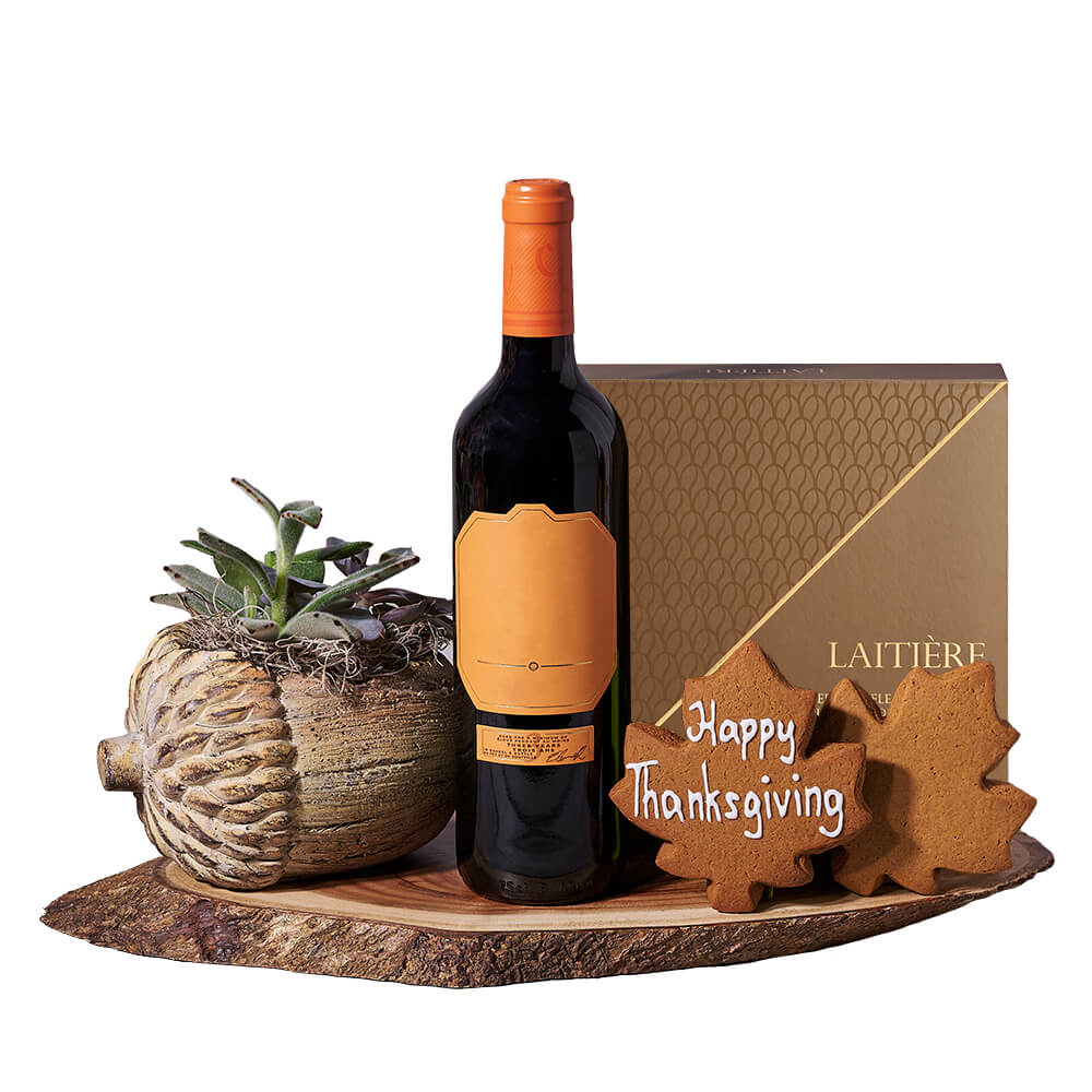Thanksgiving Wine &amp; Succulent Gift, wine gift, wine, thanksgiving gift, thanksgiving, plant gift, plant, gourmet gift, gourmet