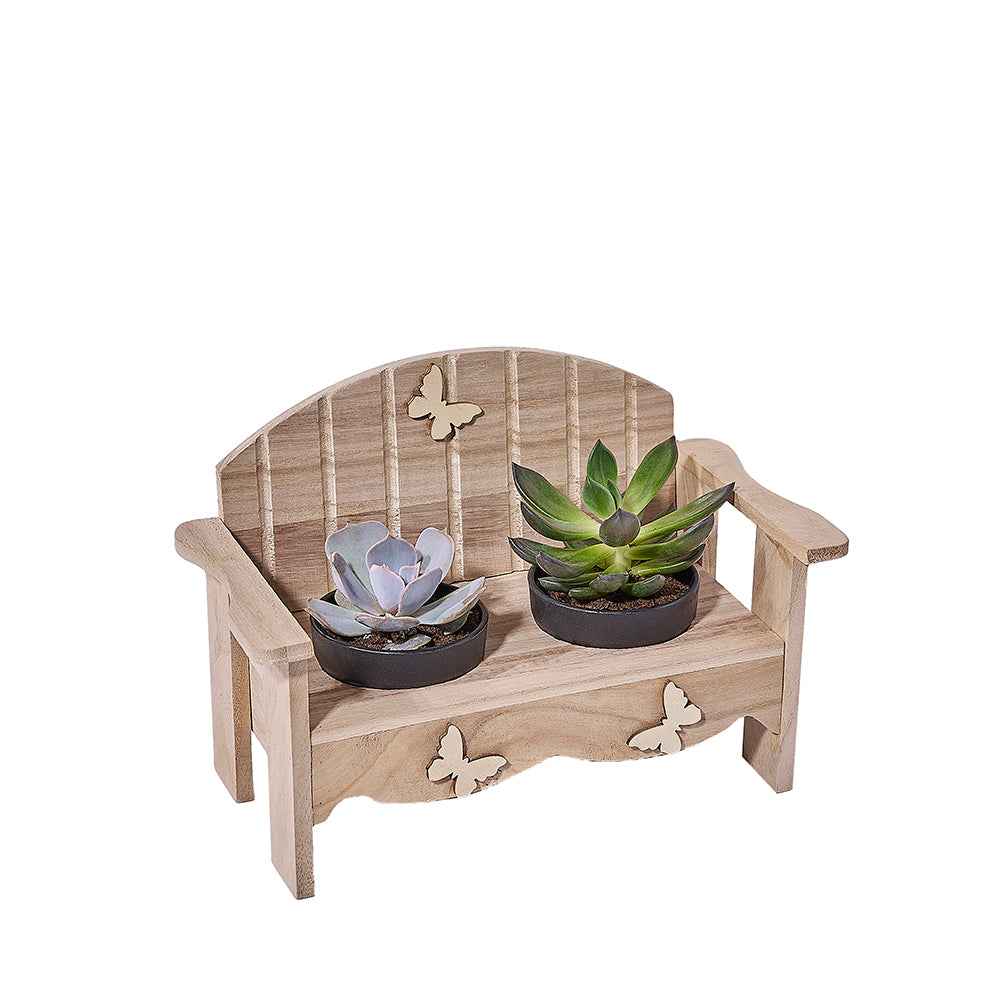 Twin Garden Succulent Gift Set, plant gift, plant, succulent gift, succulent, Toronto delivery