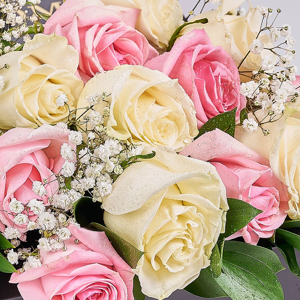 Valentine's Day 12 Stem Pink & White Rose Bouquet With Box & Bear, rose gift, rose, valentines day gift, valentines day, plush gift, plush, bear gift, bear, Toronto delivery