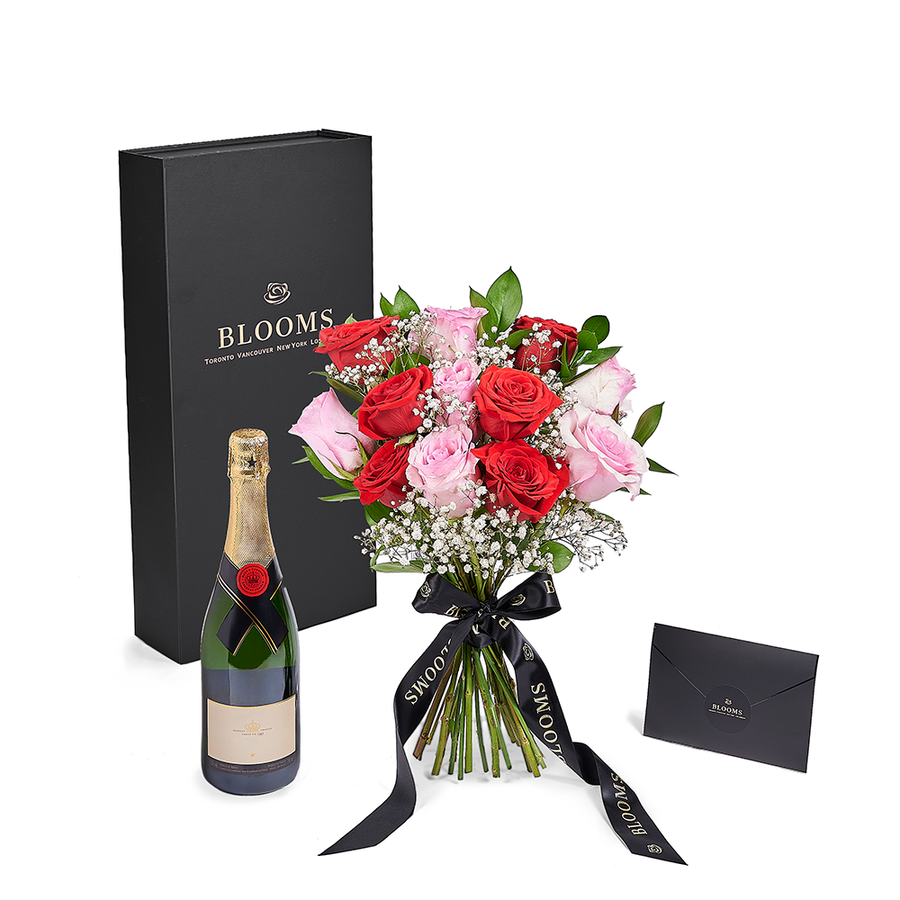 Valentine’s Day 12 Stem Red & Pink Rose Bouquet With Box & Champagne