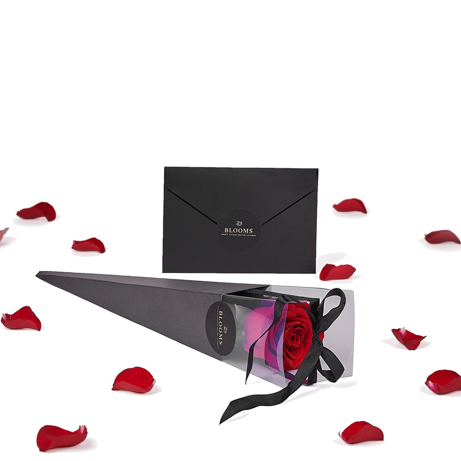 Valentine's Day Single Red Rose