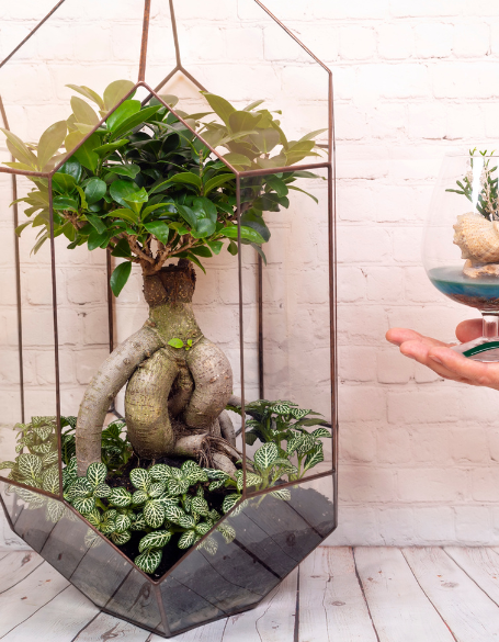 Same day flower delivery Toronto – Toronto flowers gifts