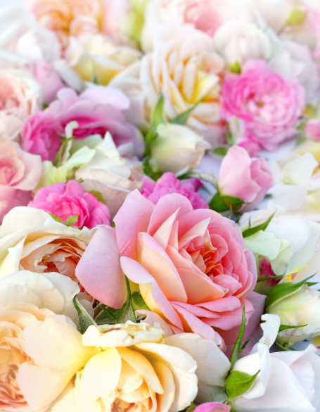 Same day flower delivery Toronto – Toronto flowers gifts