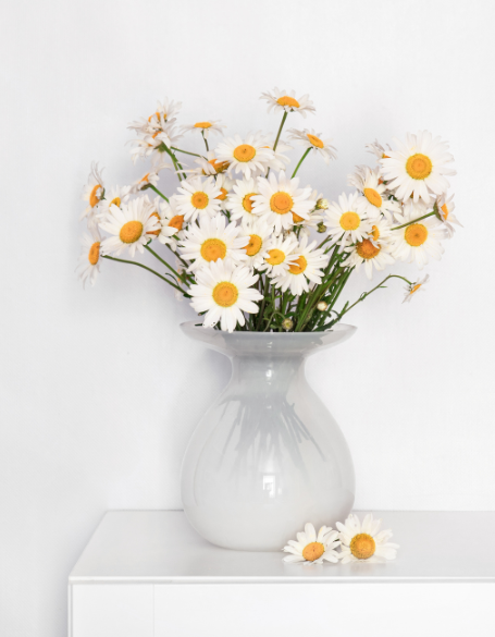 Same day flower delivery Toronto – Toronto flowers gifts