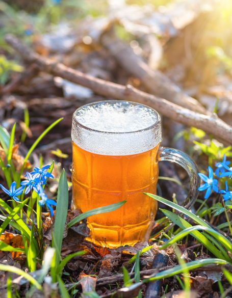 Same day flower delivery Toronto – Toronto flowers gifts