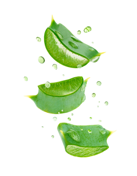 Same day flower delivery Toronto – Toronto flowers gifts