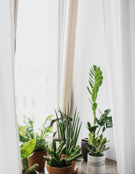 Same day flower delivery Toronto – Toronto flowers gifts