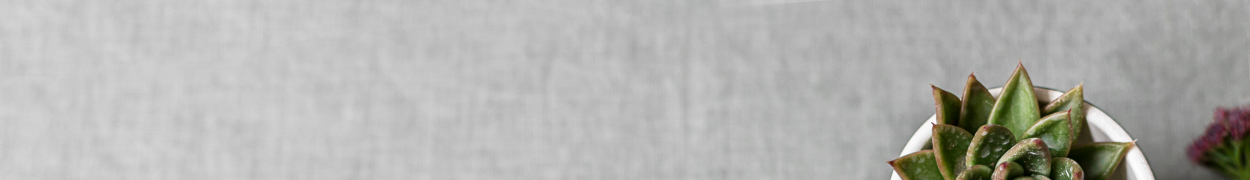 Same day flower delivery Toronto – Toronto flowers gifts