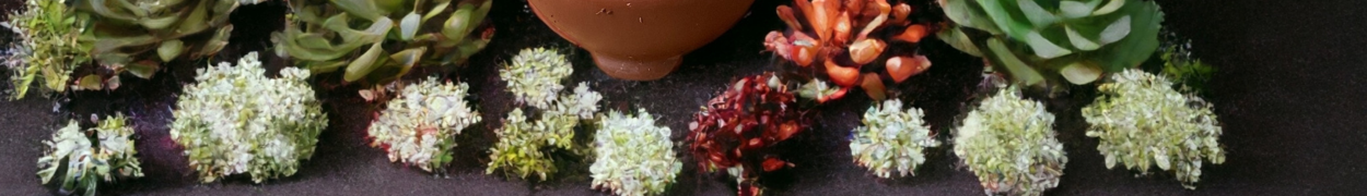 Same day flower delivery Toronto – Toronto flowers gifts