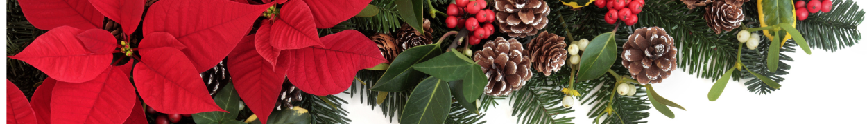 Same day flower delivery Toronto – Toronto flowers gifts