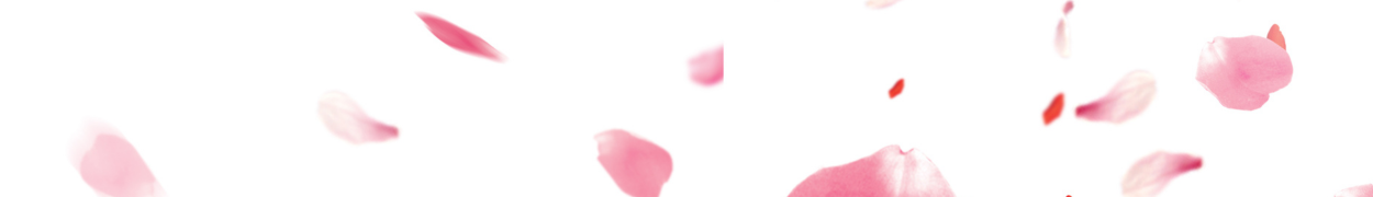 Same day flower delivery Toronto – Toronto flowers gifts