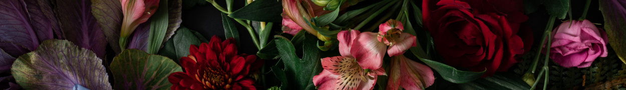 Same day flower delivery Toronto – Toronto flowers gifts