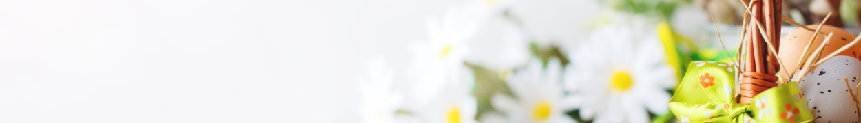 Same day flower delivery Toronto – Toronto flowers gifts