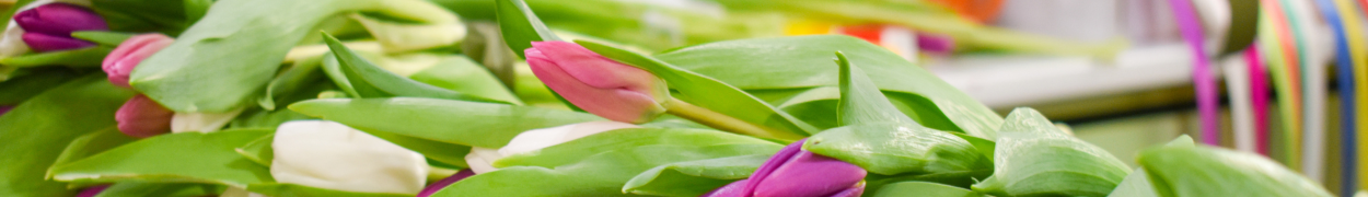 Same day flower delivery Toronto – Toronto flowers gifts