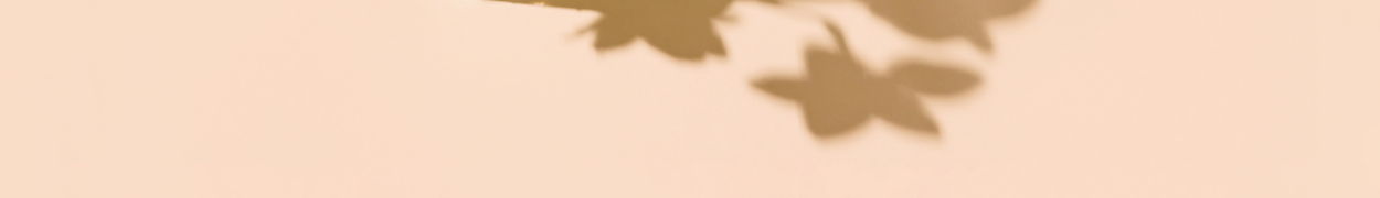 Same day flower delivery Toronto – Toronto flowers gifts