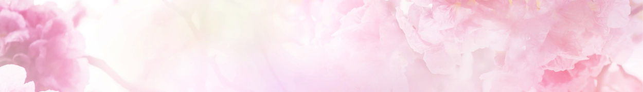 Same day flower delivery Toronto – Toronto flowers gifts