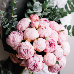 Flower of the Month Club Toronto 