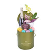 Mother’s Day Champagne, Orchid & Treat Gift Box - Gift Basket Set - Mother's Day Gift - Same Day Toronto Delivery