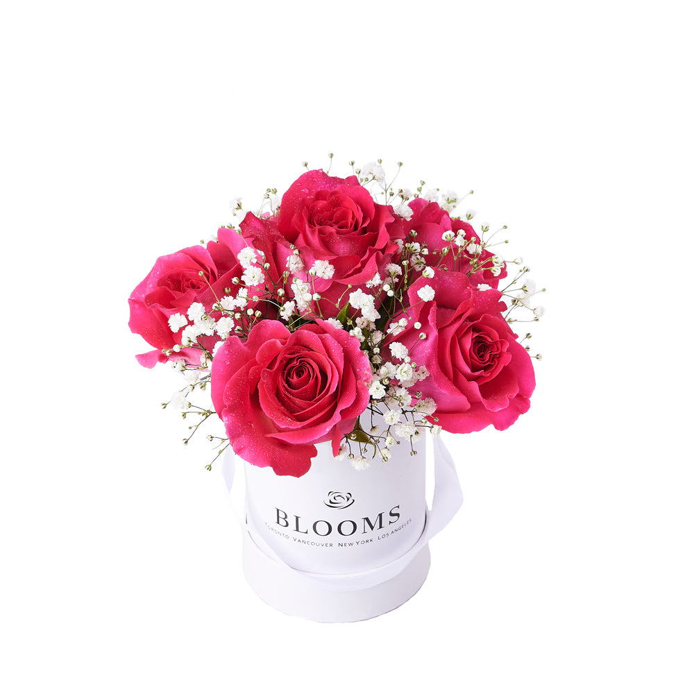 Tender Pink Rose Gift