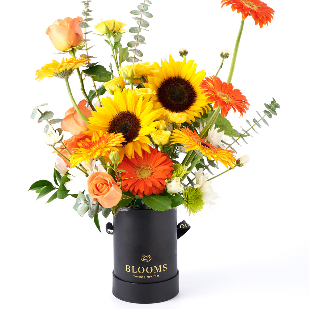 Exalted Amber Sunflower Bouquet - Toronto Blooms - Canada flower delivery