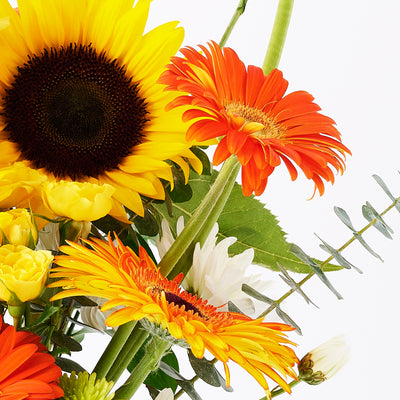 Exalted Amber Sunflower Bouquet - Toronto Blooms - Canada flower delivery