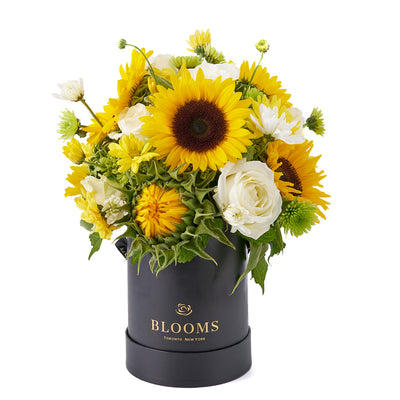 Make Life Sweeter Flower Gift, assorted flowers, sunflower flower gift, sunflowers, flower gift delivery canada, toronto