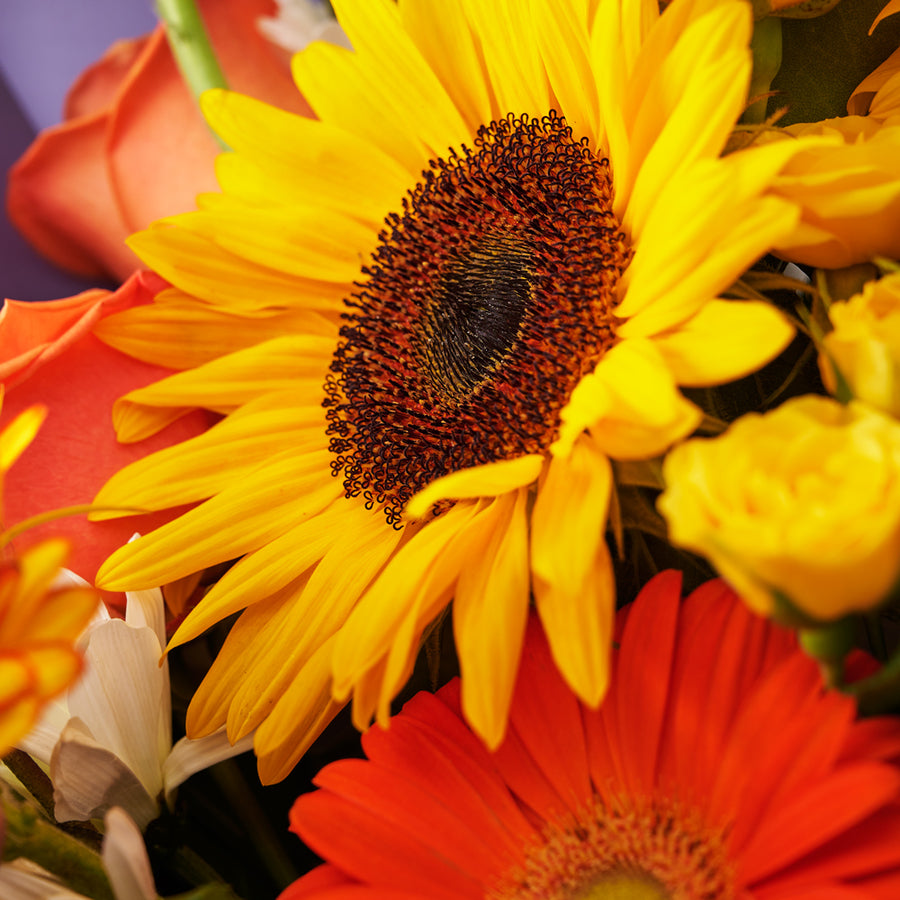 Ray of Hope Sunflower Bouquet, sunflower bouquet, assorted flowers bouquet, sunflowers, flowers, bouquet delivery canada, toronto