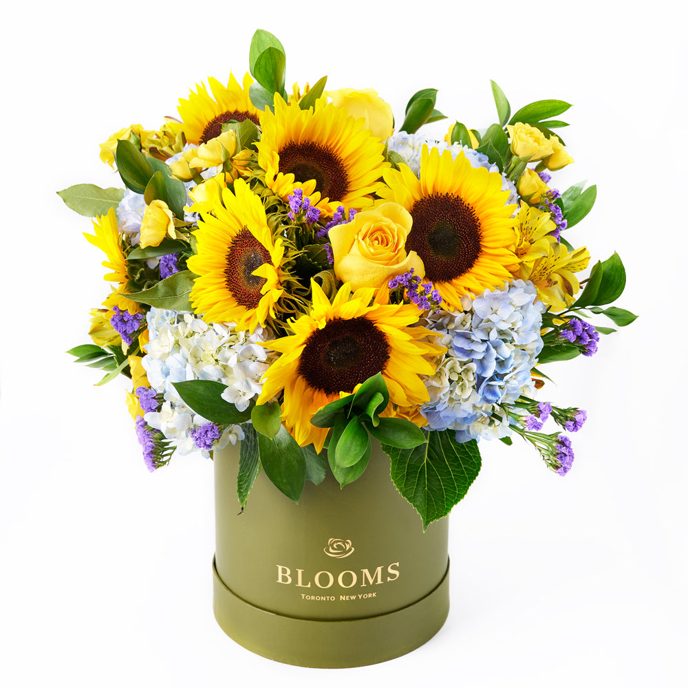 Charming Amber Sunflower Arrangement, assorted flowers arrangement, sunflowers, arrangement delivery canada, toronto