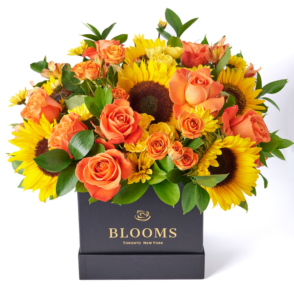 You Are My Sunshine Sunflower Box Gift, assorted mixed flowers gift, sunflower mixed flowers gift, box gift delivery canada,- Toronto Blooms - Toronto Delivery