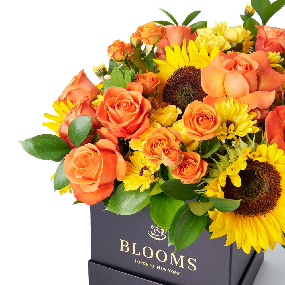 You Are My Sunshine Sunflower Box Gift, assorted mixed flowers gift, sunflower mixed flowers gift, box gift delivery canada, - Toronto Blooms - Toronto Delivery
