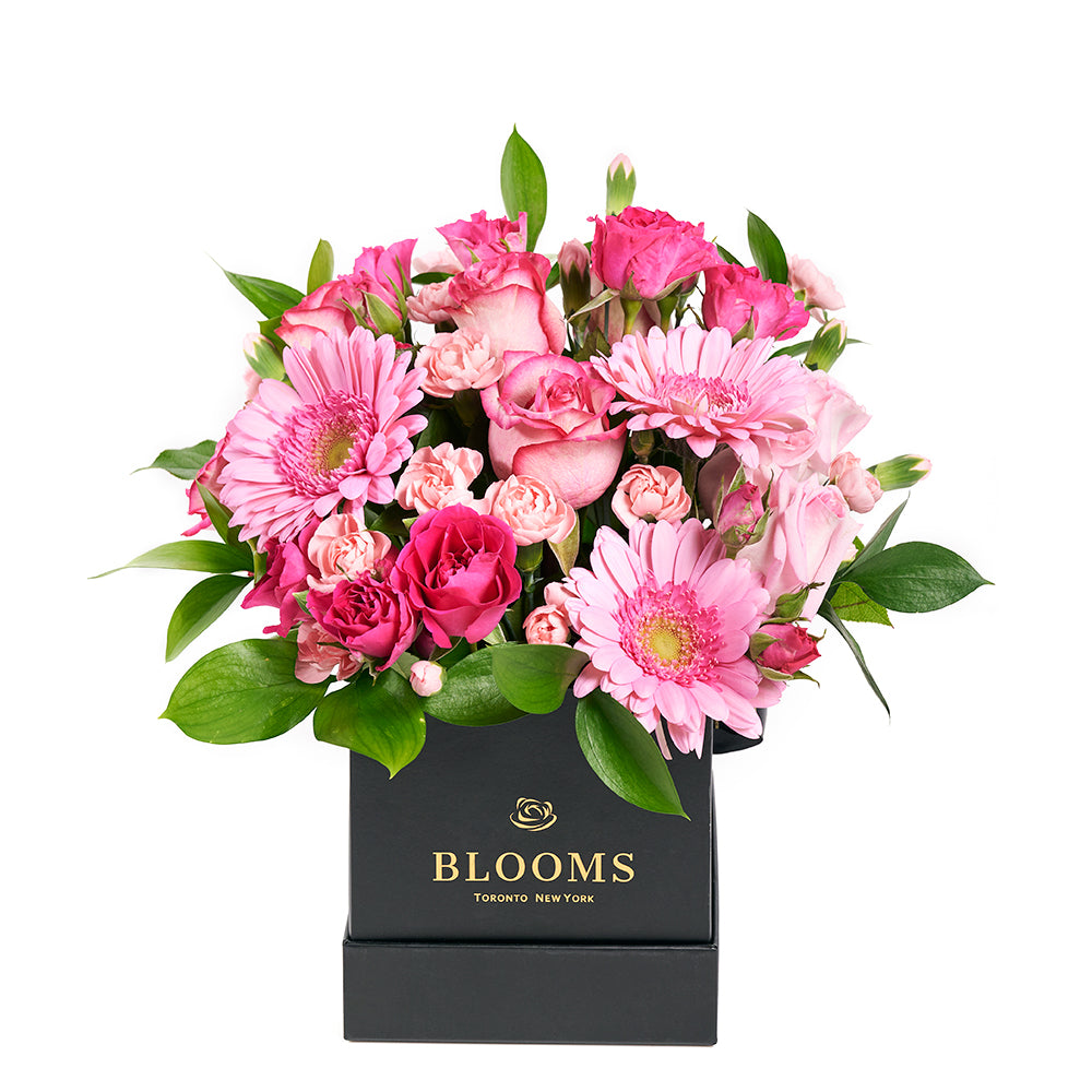 Colour Crazed Carnations Flower Gift - Mixed Floral Hat Box - Same Day Toronto Delivery