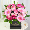 Colour Crazed Carnations Flower Gift - Mixed Floral Hat Box - Same Day Toronto Delivery
