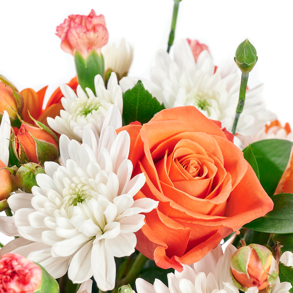 Forever Young Daisy Box - Mix Flower Hat Box Gift - Same Day Toronto Delivery