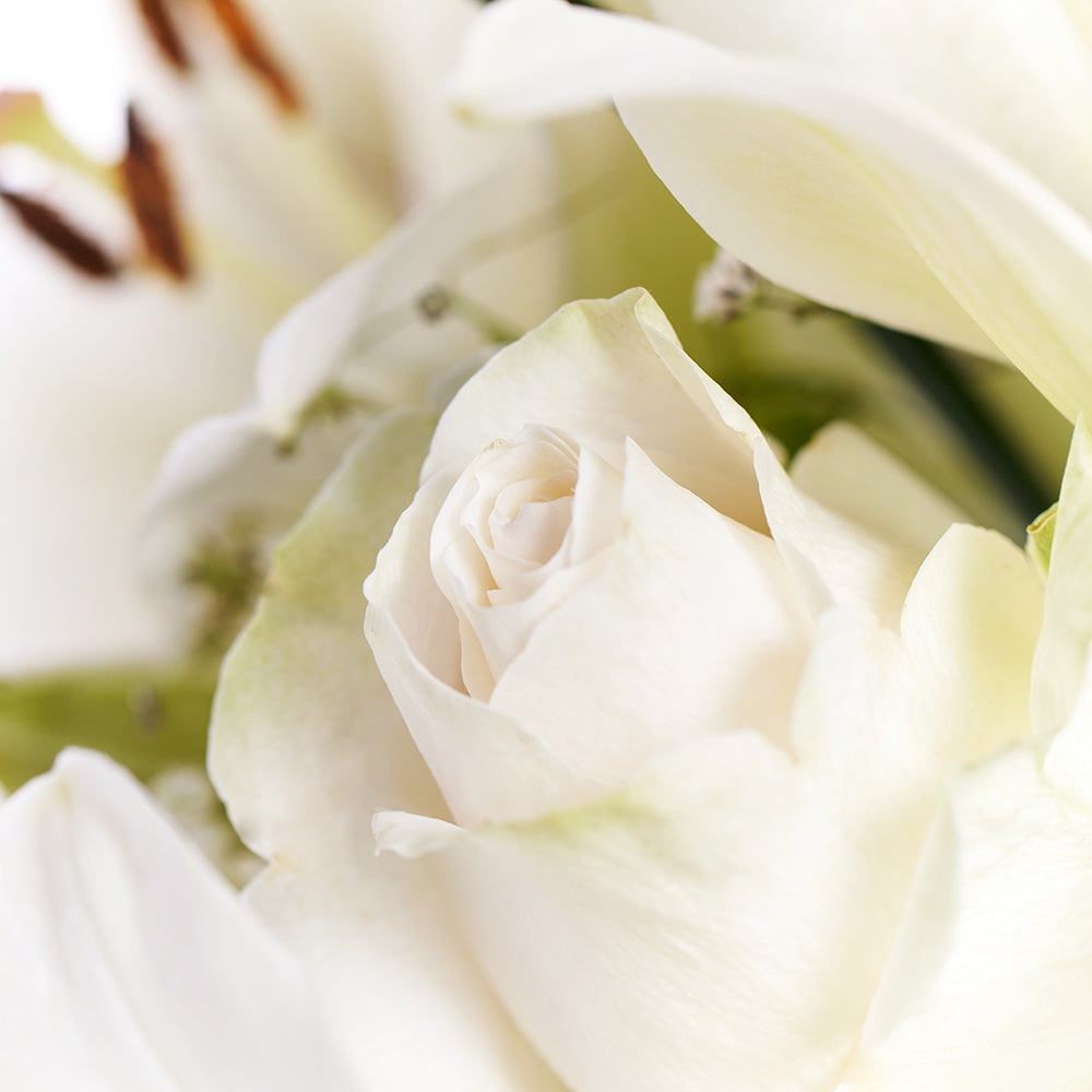 Alabaster Mixed Lily Arrangement – Lily Gifts – Same Day Toronto delivery