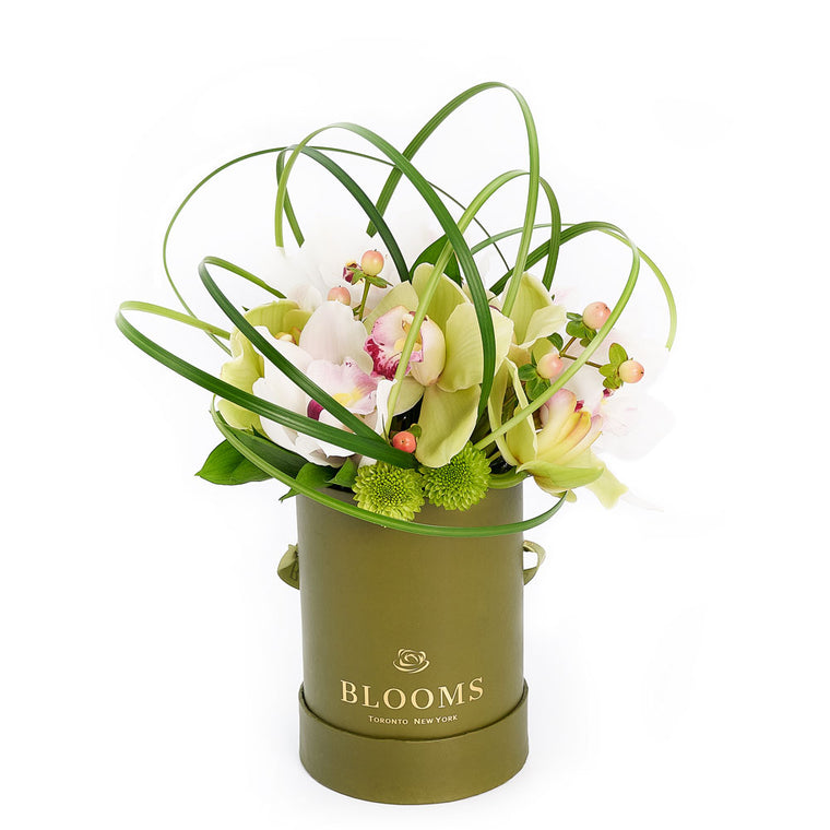 “Berry Special” Orchid Arrangement – Orchid Gifts – Toronto delivery
