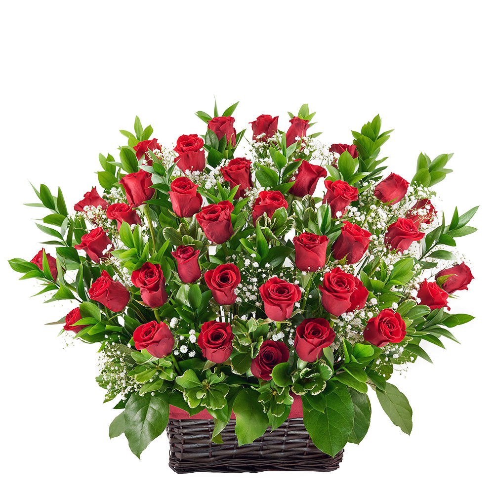 Boundless Love Red Rose Basket - Same Day Toronto Delivery