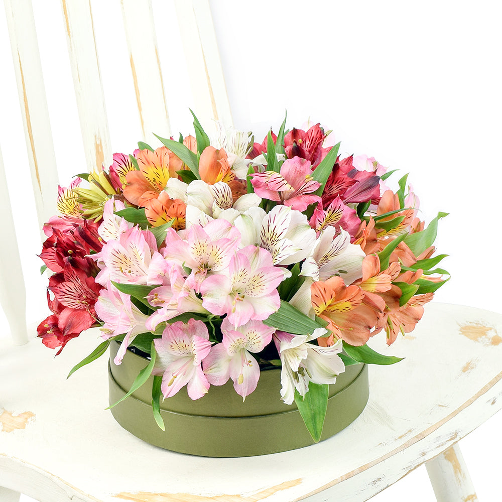 Brilliant multi-coloured lily floral box arrangement. Same Day Toronto Delivery