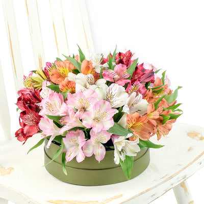 Brilliant multi-coloured lily floral box arrangement. Same Day Toronto Delivery