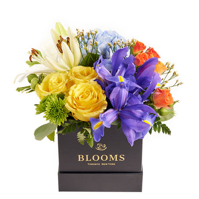 Iris and mixed floral box arrangement. Same Day Toronto Delivery