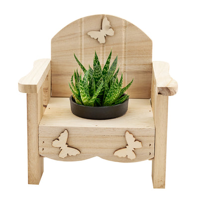 Butterfly planter chair arrangement with a potted succulent. Same Day Toronto Delivery