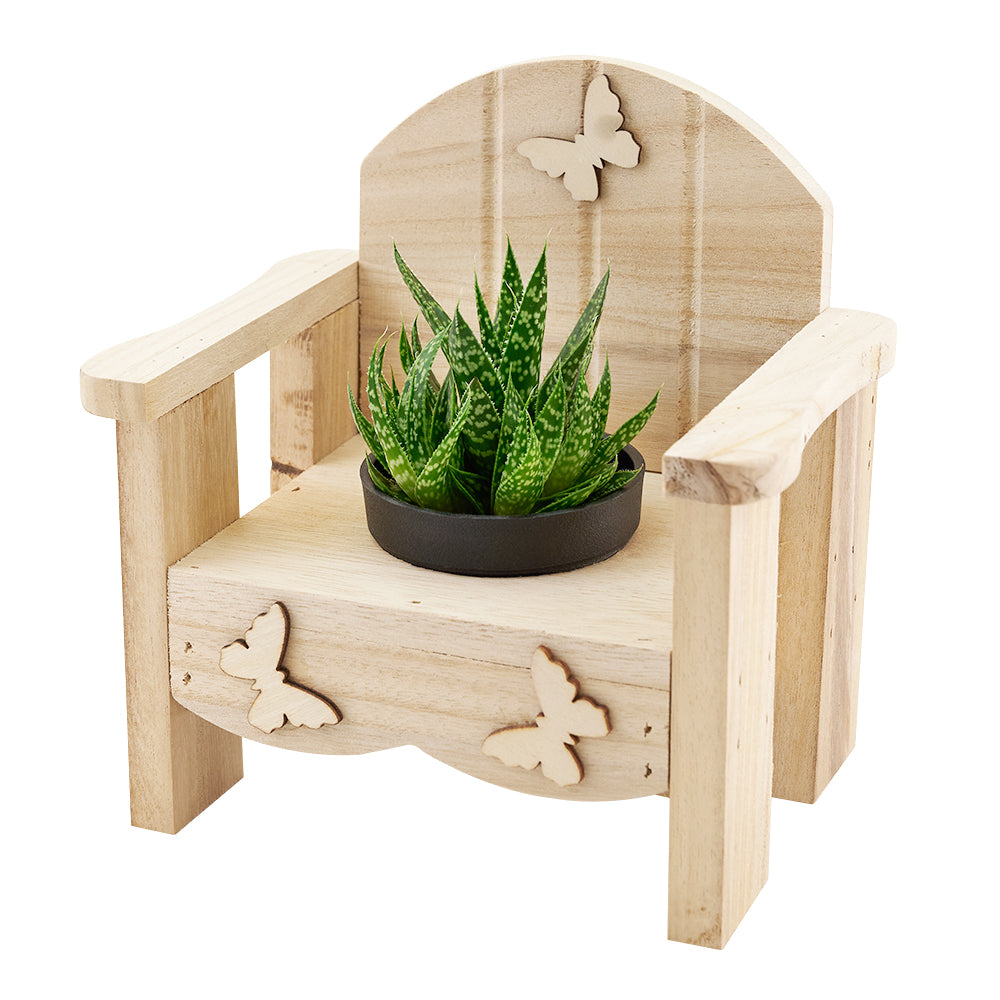 Butterfly planter chair arrangement with a potted succulent. Same Day Toronto Delivery