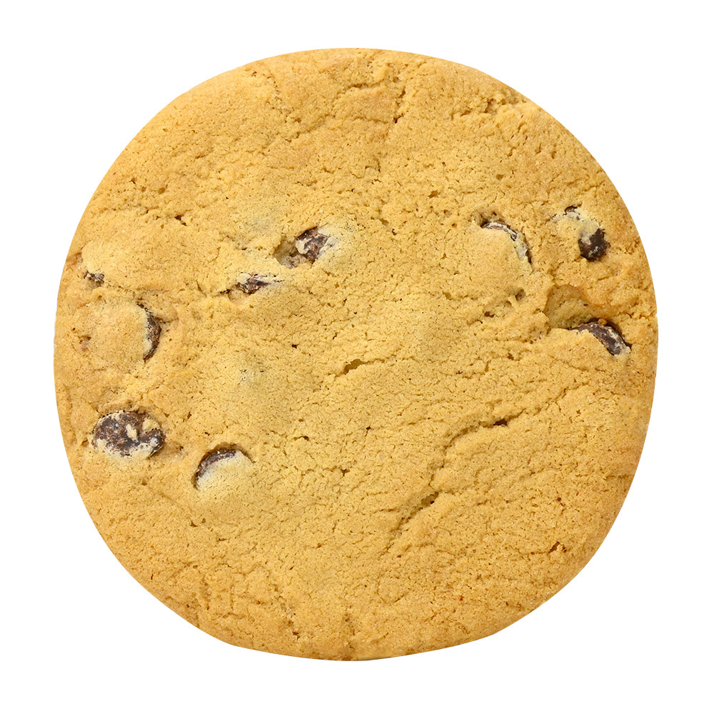 Chocolate Chip Cookie