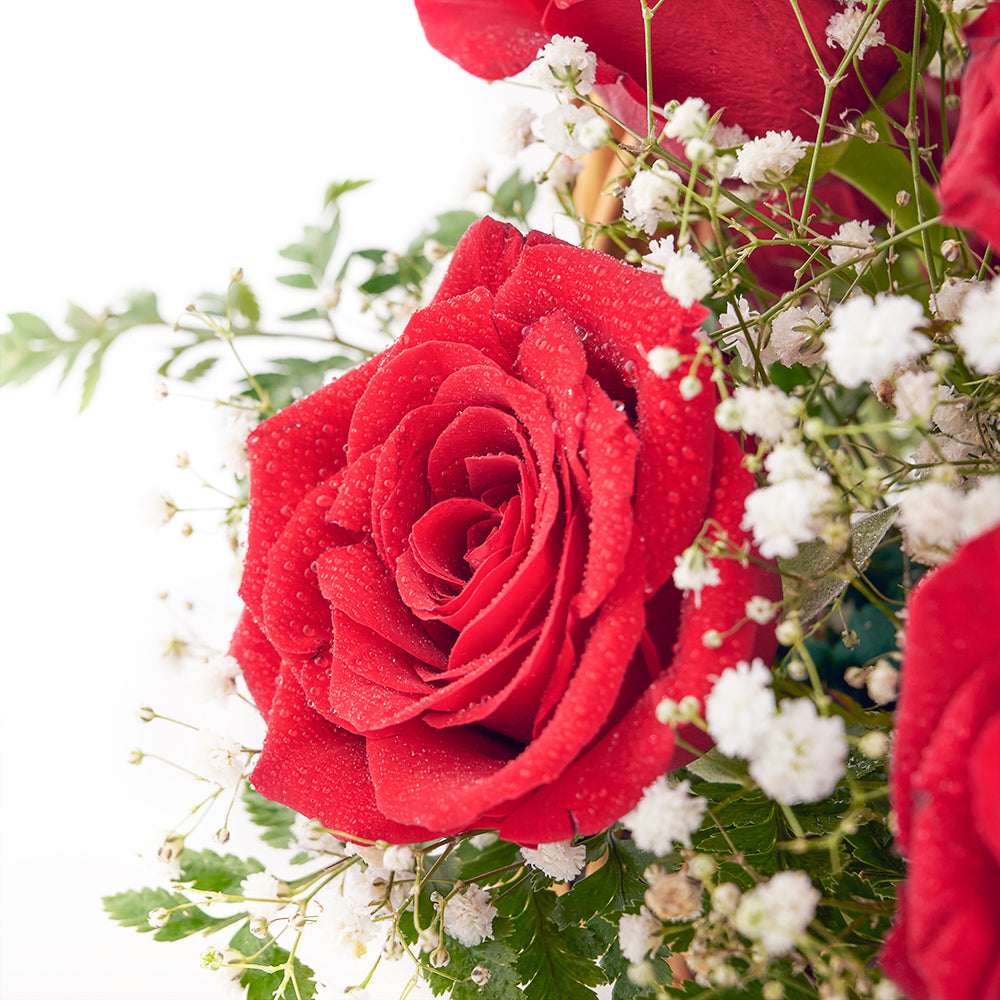 Toronto Same Day Flower Delivery - Toronto Flower Gifts - Rose Bouquet