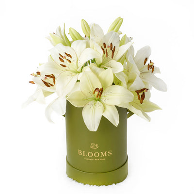 Cornsilk Surprise Lilies Vase Arrangement. Same Day Toronto Delivery