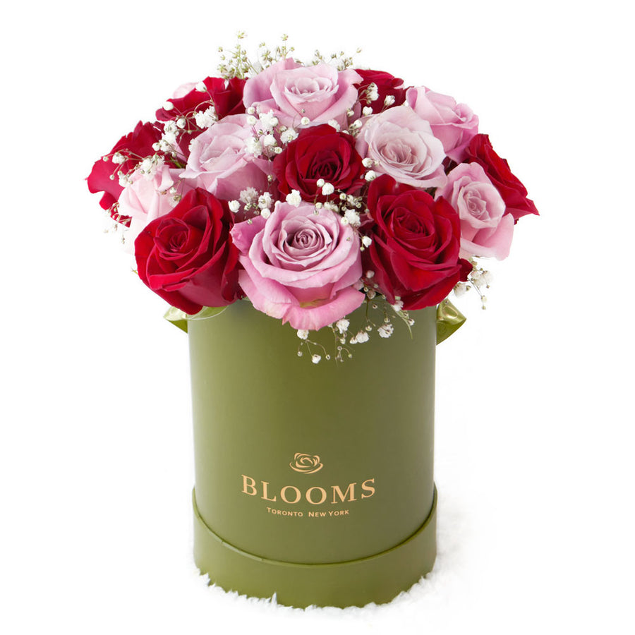 Elegant Rose Duo Arrangment - Mixed Roses - Mother's Day Gift - Same Day Toronto Delivery