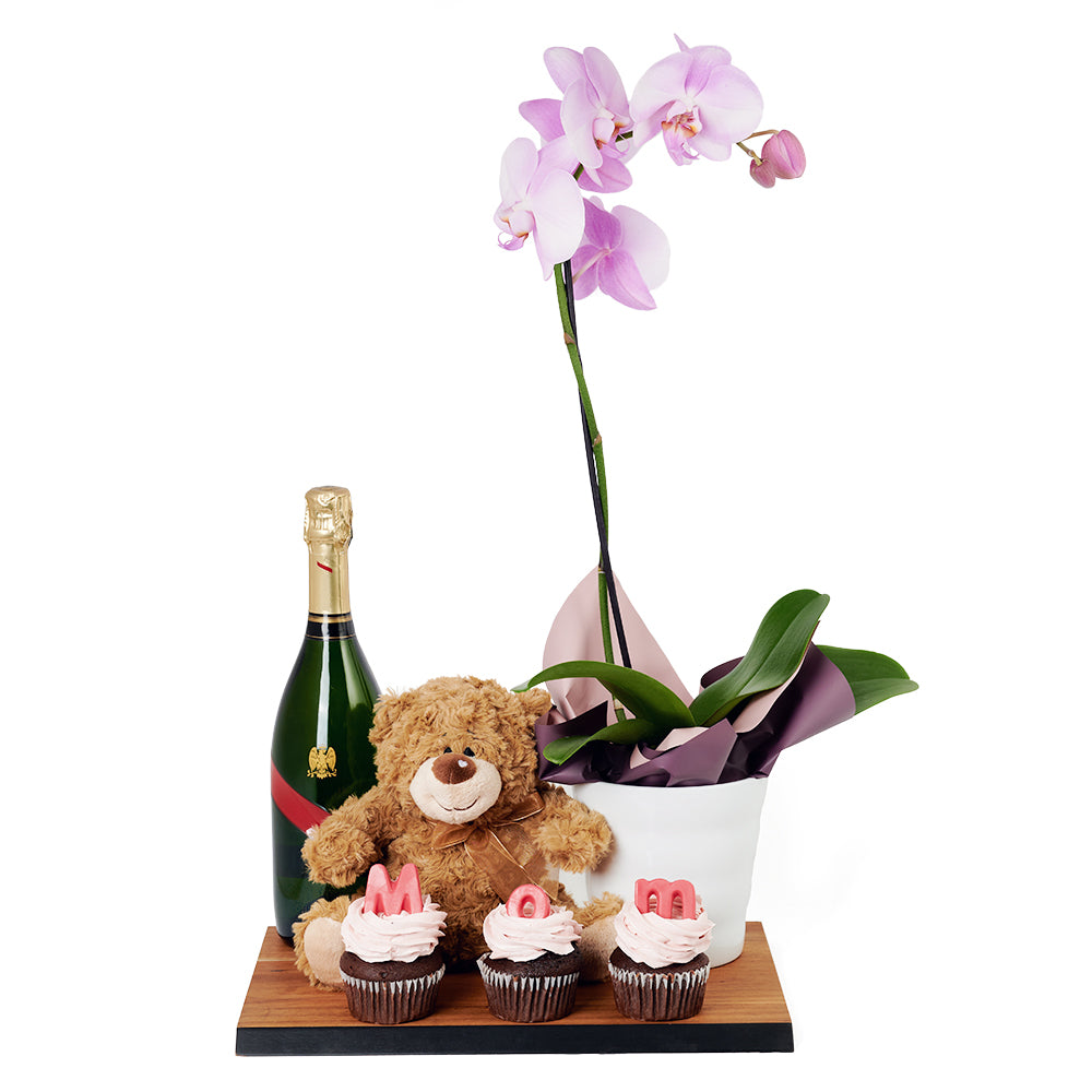 Teddy bear, Orchid, Cupcake and Champagne Set - Same Day Toronto Gift Delivery