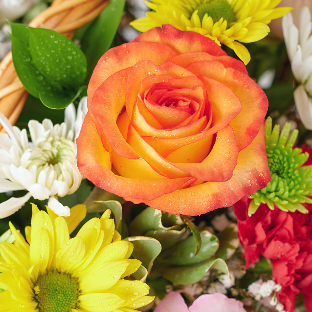 Spirits & Bountiful Mixed Rose Gift Set – Liquor Gifts – Same Day Toronto delivery