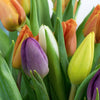 Multi-coloured tulip bouquet. Same Day Toronto Delivery.